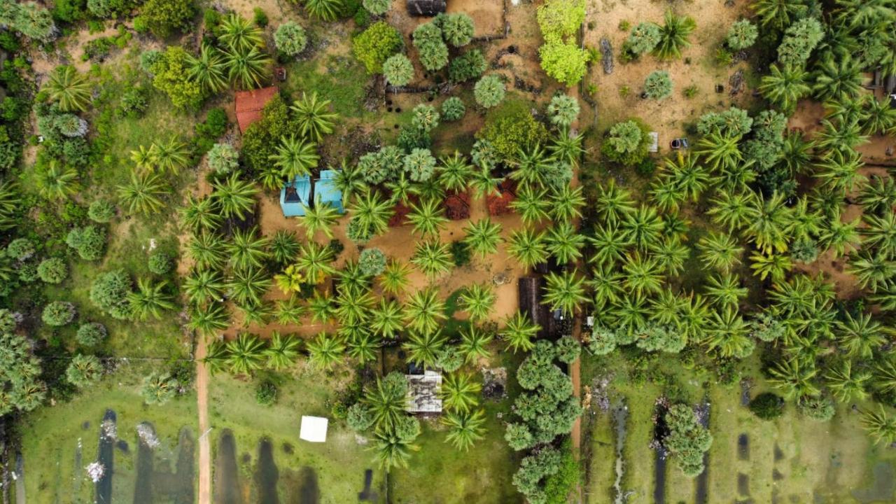 Araliya Villa Kalpitiya Esterno foto
