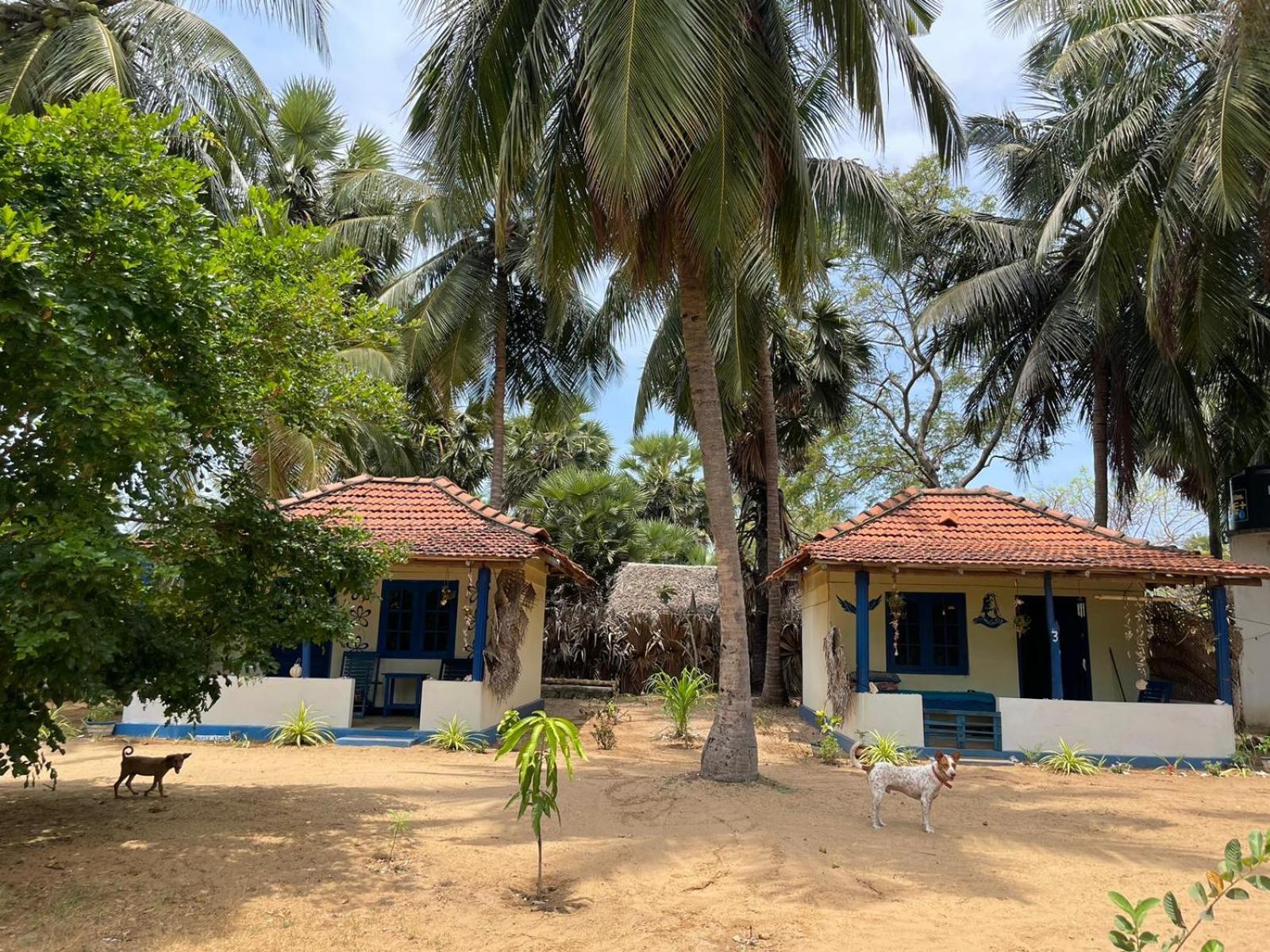 Araliya Villa Kalpitiya Esterno foto